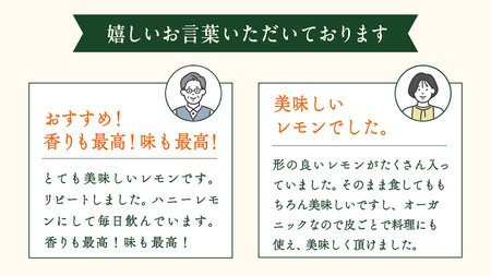 瀬戸内 オーガニック グリーンレモン 1kg【2026年10月以降発送】