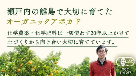 国産 オーガニック アボカド 1個【2026年11月下旬以降発送】 有機栽培