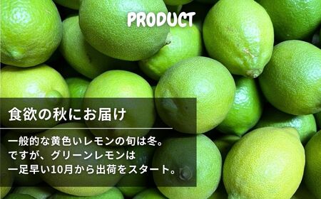 露地 グリーンレモン 約3kg 【2026年10月中旬以降発送】