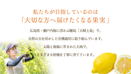 島の宝石箱！瀬戸内 旬の柑橘カラフルギフトセット ( レモン 約2kg /みかん 約1kg ) 【2026年 11月 ～ 12月 発送】 先行予約