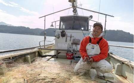 漁師直送！ 生ワカメ 600g 【1月〜2月発送】 大崎上島の漁師 中村さんちのシルキー 食感