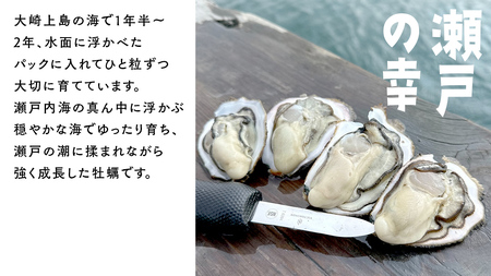 殻付き生牡蠣 冷蔵 約1kg ( 加熱用 ) 8〜11個程度 【1月中旬〜3月発送】 瀬戸内の離島から届く牡蠣 先行予約 