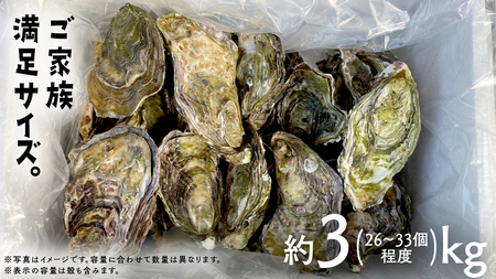 殻付き生牡蠣 冷蔵 約3kg ( 加熱用 ) 26〜33個程度 【1月中旬〜3月発送】 瀬戸内の離島から届く牡蠣  