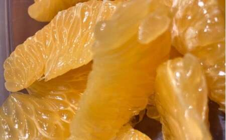 瀬戸内 紅八朔 約5kg（15個程度） 【2027年2月以降発送】