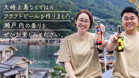クラフトビール Session IPA Lemon 3本 セット