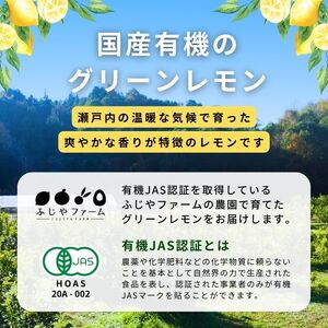 グリーンレモン 約1kg 【2026年 10月 ～ 11月 発送】 先行予約