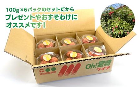 【先行予約】希少 綾生ライチ お裾分けセット （６パック） / 宮崎県産 ライチ 国産【JA綾町】_A0114-1051
