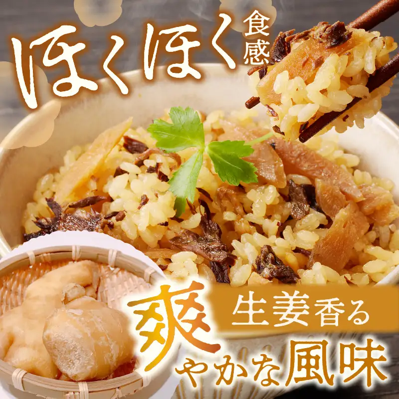 福岡の老舗が作る 生姜香る国産牛ごぼうごはんの素【A-834】