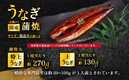 うなぎ 国産 蒲焼き 1尾 270g 特上ウナギ 6月発送