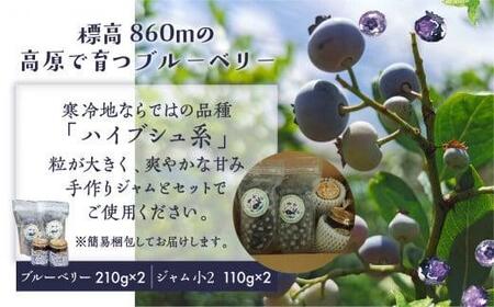 治助ファームの北部ハイブッシュブルーベリー「冷凍果実」210g×2袋と手作りジャム110g×2個セット | 国産 ブルーベリー ジャム フルーツ おやつ 製菓 冷凍 くだもの 果物 冷凍フルーツ 飛騨高山 治助ファーム LJ006VC13