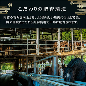【阿蘇牧場】 国産 熊本と畜 上赤身 馬刺し 300g 日本産 熊本肥育 阿蘇 熊本 小国 赤身 小分け 馬肉 馬刺し醤油 専用たれ付 真空パック