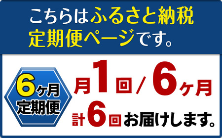 【6ヶ月定期便】ナノバブル水素水 ペットボトル(約500ml)×24本