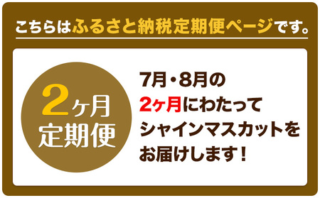 【先行予約】ぶどう 2ヶ月 定期便 シャインマスカット 晴王 700g 岡山県産《7月上旬-8月末頃出荷》 ハレノフルーツ マスカット 送料無料 岡山県 浅口市 フルーツ 果物 国産 岡山県産【配送不可地域あり】（北海道・沖縄・離島）