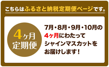 【先行予約】ぶどう 4ヶ月 定期便 シャインマスカット 晴王 700g 岡山県産《7月上旬-10月末頃出荷》 ハレノフルーツ マスカット 送料無料 岡山県 浅口市 フルーツ 果物 国産 岡山県産【配送不可地域あり】（北海道・沖縄・離島）