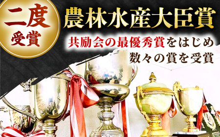 佐賀牛 ヒレ ステーキ150g HBH146 ヒレ ステーキ 佐賀牛 国産 和牛 黒毛和牛
