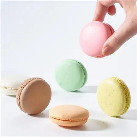 タンタシオンのマカロン12個セット_菓子・スイーツ 焼き菓子  _【配送不可地域：離島】【1522129】