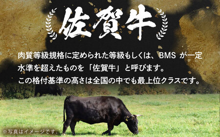 【奇数月発送】佐賀牛リッチセレクション定期便【多久精肉店】HCX006 肉セット佐賀牛 焼肉 カルビ ロース サーロイン カルビ 赤身 ハンバーグ ステーキ 焼肉