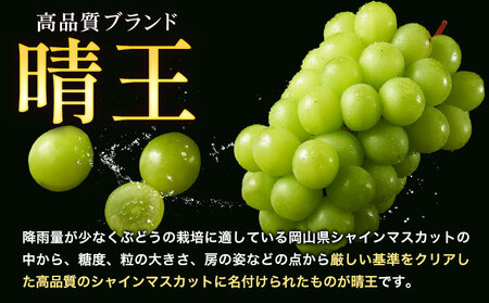 【2026年発送】岡山県船穂地区産 プレミアム シャインマスカット 晴王 赤秀 1.2kg  彩美菜果