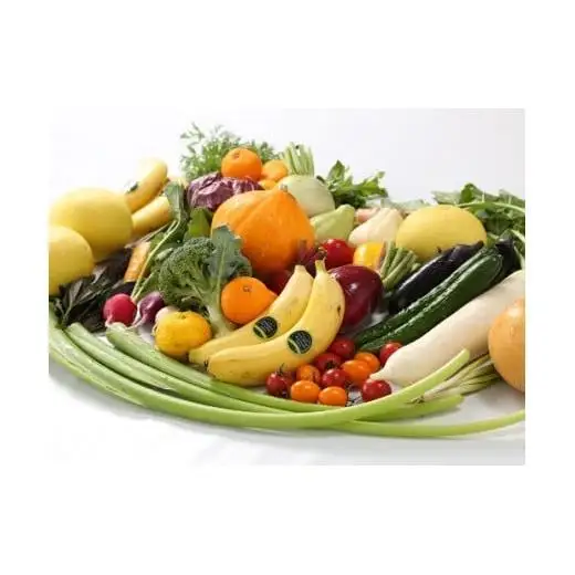 【 野菜 】 野菜8回定期便