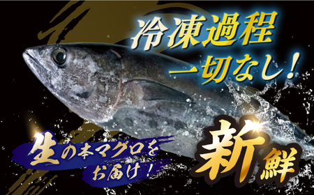 冷蔵！生本マグロ 赤身 計約600g マグロ まぐろ 鮪 刺身 五島列島産養殖 [RBN015] 本マグロ 本まぐろ 本マグロ 本まぐろ 本マグロ 本まぐろ 本マグロ 本まぐろ九州 長崎