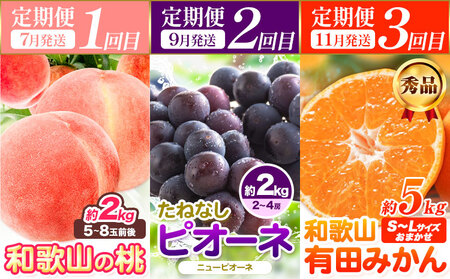 人気フルーツ全3回定期便（7月・9月・11月）定期便 フルーツ