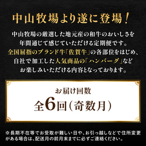 【6回定期便（奇数月）】中山牧場 厳選ギフト定期便 ／ 佐賀牛 牛肉 肉【Z113】