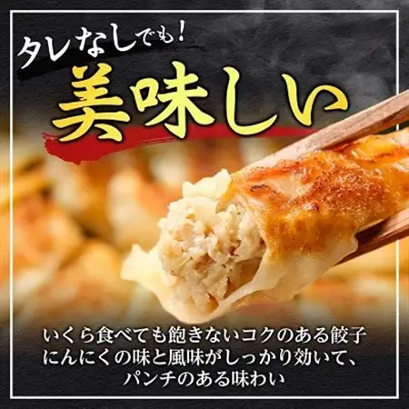 鉄人餃子　150個(30個×5袋)_惣菜・加工品 餃子  ぎょうざ ギョウザ_【配送不可地域：離島】【1373365】
