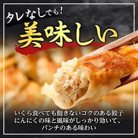 鉄人餃子　300個(30個×10袋)_惣菜・加工品 餃子  ぎょうざ ギョウザ_【配送不可地域：離島】【1469397】