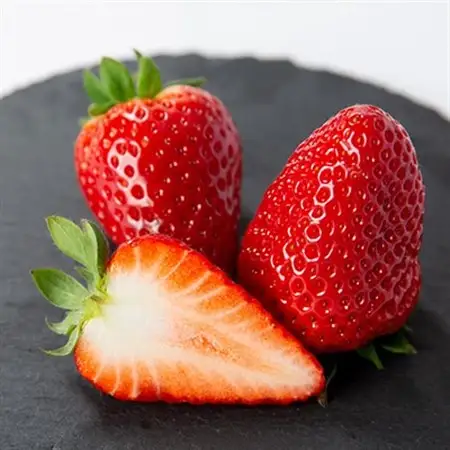 令和8年度　春いちご　古都華　約300g×4パック　合計約1200g_果物・フルーツ いちご  イチゴ 苺_【配送不可地域：離島・北海道・沖縄県】【1486658】