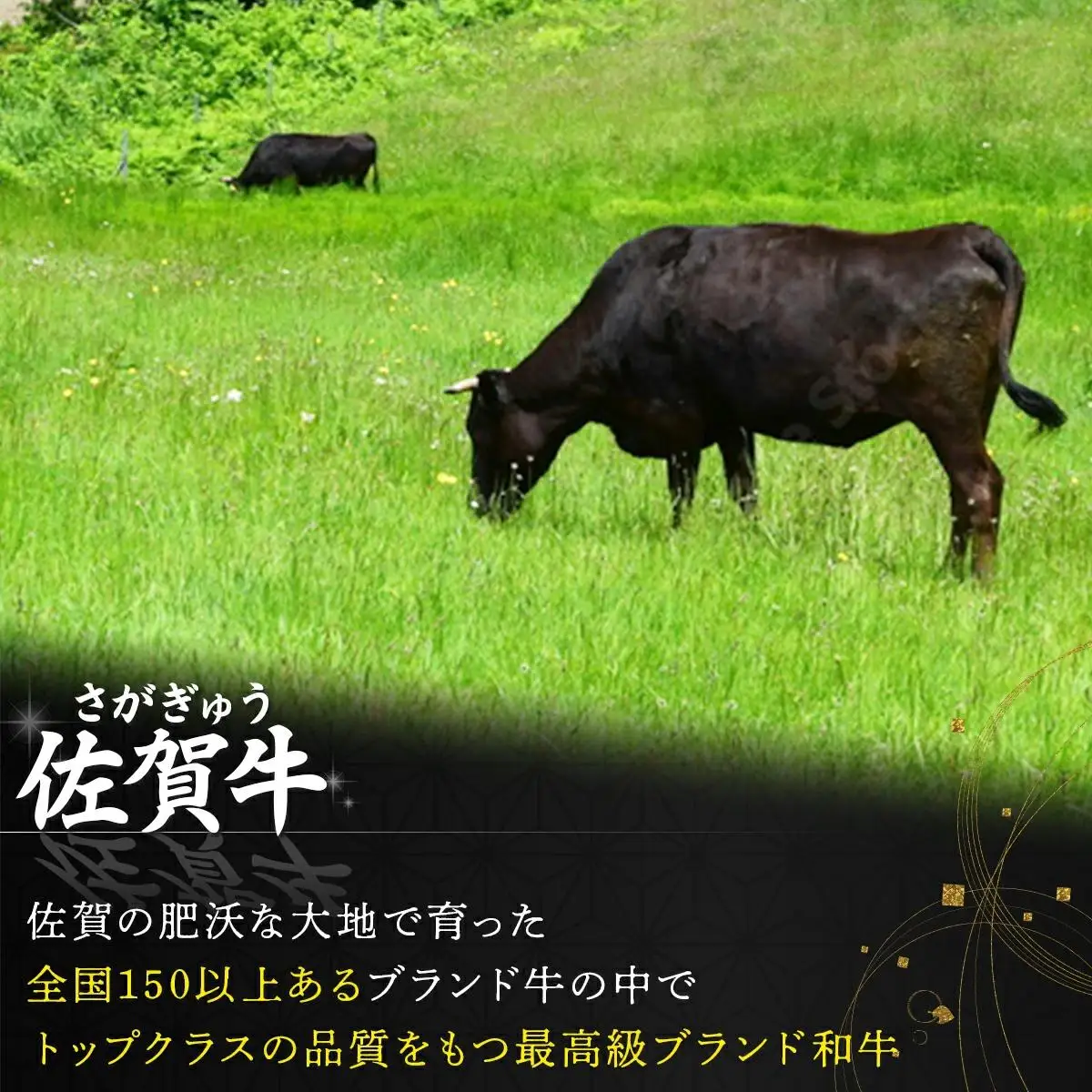 佐賀牛しゃぶ･すき用&ステーキセット M-36