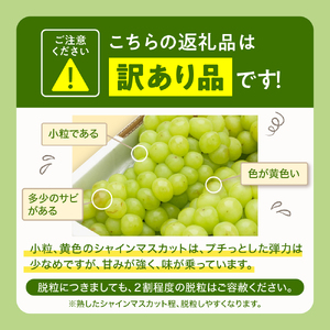 【2026年産】ぶどう訳ありシャインマスカット2kg（3～5房）ぶどう