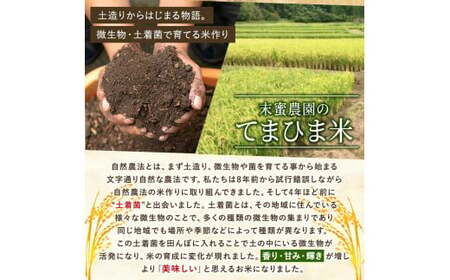 K-391-D 令和7年産 てまひま米・玄米(品種:にこまる)(計20kg)【末蜜農園】霧島市 お米 玄米 米 こめ コメ ご飯 ごはん 定期便 栽培期間中農薬不使用