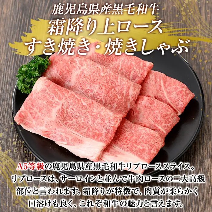 K-320 鹿児島県産黒毛和牛＜A5等級＞霜降り上ロースすき焼き・焼きしゃぶ(計400g・400g×1P)【ビーフ倉薗】霧島市 牛肉リブロース スキヤキ 国産 鹿児島県産 黒毛和牛 肉 精肉 牛