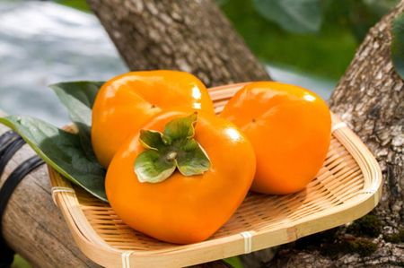 【秋の味覚】和歌山産たねなし柿（L～4Lサイズおまかせ）約7.5kg・秀品〇