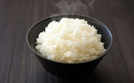 神代米（粒すけ）　精白米　5kg ／ 米 こめ コメ ごはん ご飯 神代米 粒すけ 令和7年産 精米 5kg 送料無料