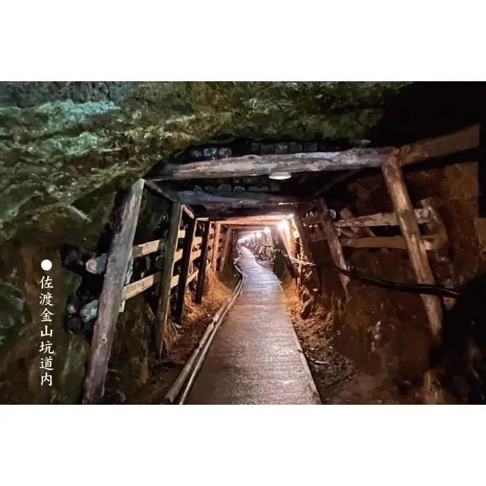 祝 世界遺産登録 佐渡金山貯蔵古酒 真野鶴大吟醸 BY2019