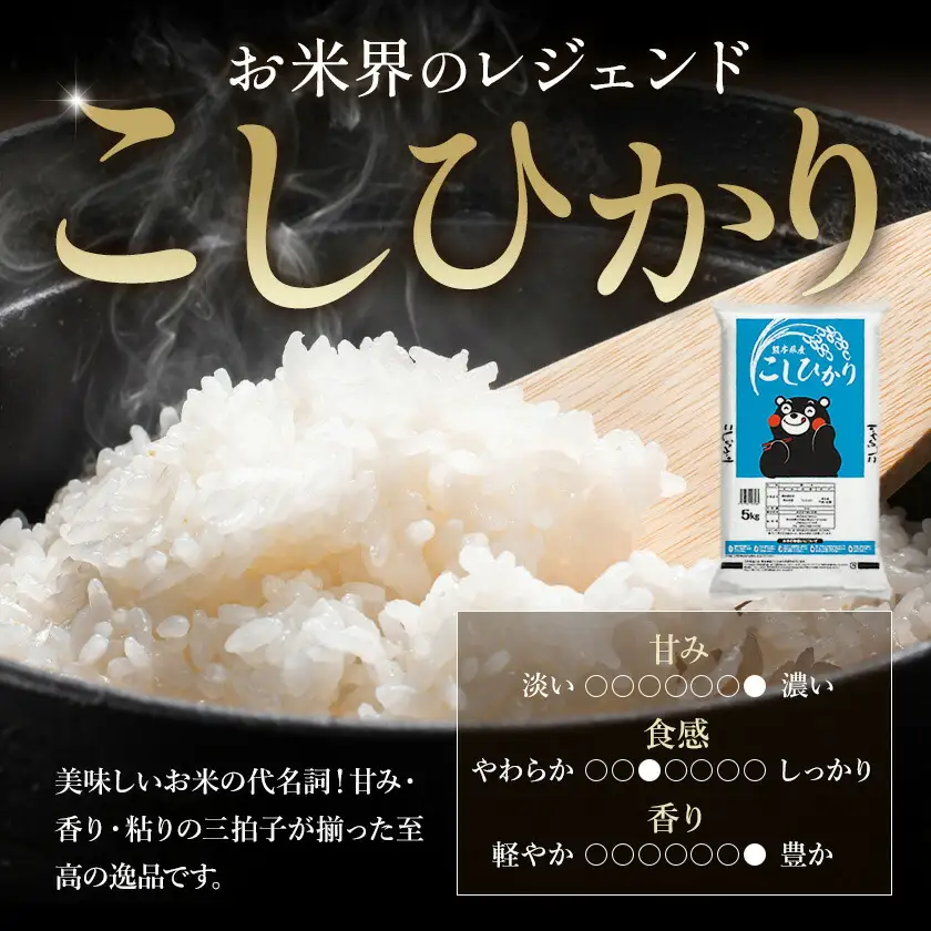 【12回定期便】白米 こしひかり5kg 定期便 精米 《お申込み翌月から出荷》