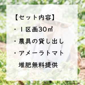 足柄ふれあい公園 体験農園 スタンダード農園プラン（12か月）