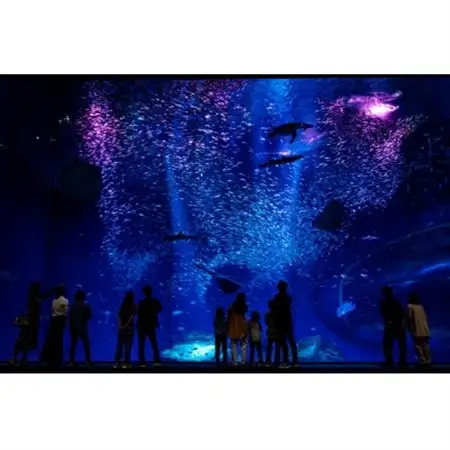 アクアワールド茨城県大洗水族館　年間パスポート+パスケース　小中学生1枚_旅行券・チケット 水族館 入場券・優待券 _【配送不可地域：離島・沖縄県】【1565572】