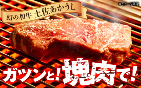 【最速発送】土佐あかうし 塊肉ステーキ 約500g（サーロイン）【株式会社Dorago】[ATAM045]　スピード 最短 最速 発送