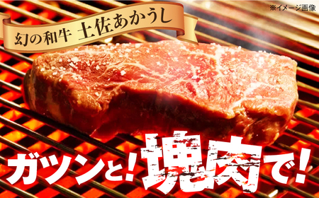 【最速発送】土佐あかうし 塊肉ステーキ 約500g（もも）【株式会社Dorago】[ATAM046]　スピード 最短 最速 発送