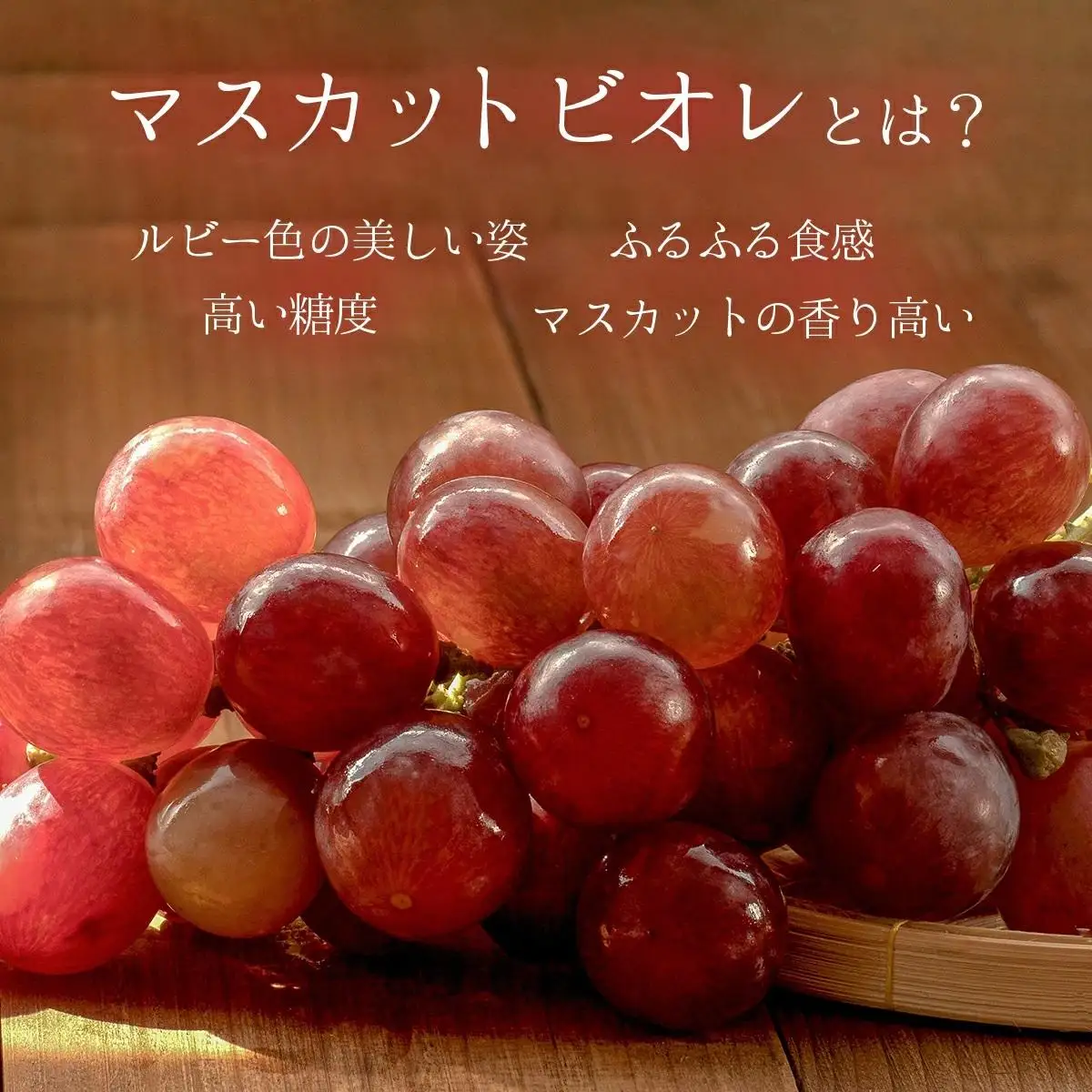 ＜2026年発送分 先行予約＞10月～11月発送マスカットビオレ1kg箱【029-a009】