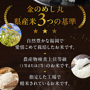 【無洗米】金のめし丸夢つくし 10kg（5kg×2袋）令和7年産_ 米 〔Gr055〕