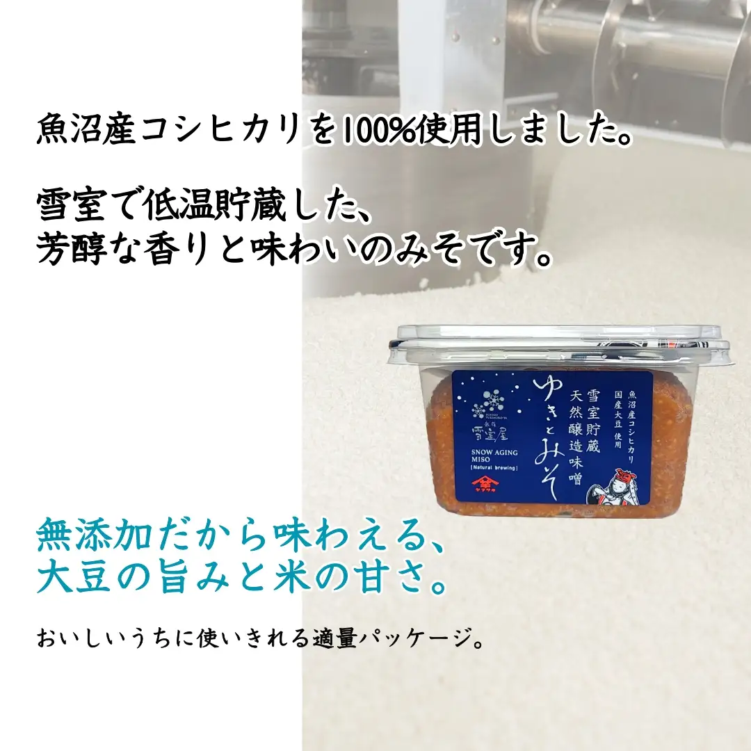 雪室貯蔵 天然醸造味噌 ゆきとみそ (300g×4個入) みそ 調味料 山崎醸造