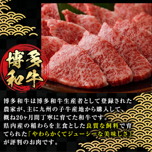 博多和牛モモ・ウデ焼肉用(400g・お肉ソムリエ開発焼肉のたれ付) お肉 肉 牛肉 博多和牛 国産 モモ肉 ウデ肉 焼肉 焼き肉 バーベキュー BBQ ＜離島配送不可＞【ksg1564】【富士商】