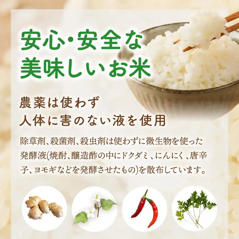 【令和7年産】農薬・化学肥料不使用 真ちゃん米 15kg【E4-008】