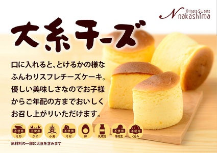 スフレチーズケーキ 『大糸チーズ』 9個入り 1箱 優しい味わい ギフトにもおすすめ 新潟県 糸魚川市 ナカシマ 一番人気のやわらかな口どけ のし対応可 チーズケーキ スイーツ 洋菓子 お歳暮 お中元 贈答