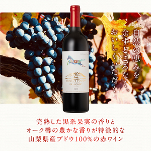 打出の小槌 カベルネ・ソーヴィニヨン 2022　2本　ワイン 赤ワイン カベルネ・ソーヴィニヨン 2022 750ml 2本 数量限定 赤 国産ワイン 山梨県産 白州産 北杜市産 完熟  黒系果実 オーク樽 樽香 タンニン 酸味 料理に合う 記念日 贈り物 プレゼント [h135]