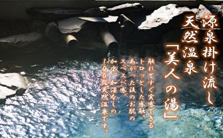 DSR-015 薩摩の里 宿泊に使えるクーポン券 10,000円分 薩摩の里