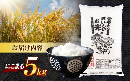 (令和7年産)長崎県認定特別栽培米にこまる5kg  / 米 こめ コメ おこめ お米 白米 精米 にこまる kome 長崎県産 / 諫早市 / 宮下農園  [AHCG021]